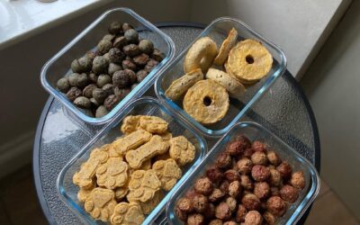 Why Nutrition Is Important for Dogs